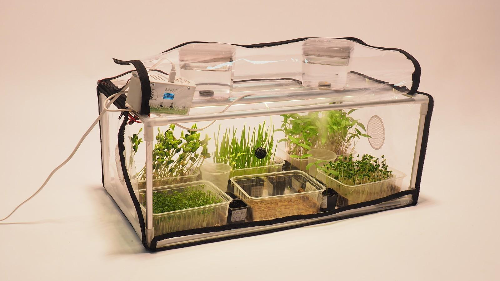 Evde Mikro Yeşillik Serası